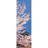 Hikone Castle wcherry blossoms Shiga Japan Poster Print (36 x 12)