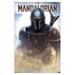 Star Wars: The Mandalorian - Battle Wall Poster 22.375 x 34 Framed