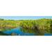 Reflection of trees in a lake Anhinga Trail Everglades National Park Florida USA Poster Print (30 x 12)
