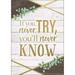 Teacher Created Resources 13-3/8 x 19 If You Never Try You ll Never Know Positive Poster (TCR7979)