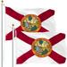 Florida FL State Flag 3x5FT 2-Pack Printed Polyester By G128