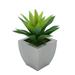 House of Silk Flowers Faux Frosted Light Green Succulent in Tapered Zinc Pot (Silver)