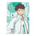 Riapawel Haikyuu Poster 12X16 Inch Cartoon Character Printed Paper Poster Home Decor Wall Art Poster Anime Fans Best Gift