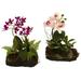 Nearly Natural Orchid Island - Set of 2