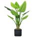 Vintage Home Artificial Faux Real Touch 51 Tall Philodendron Erubescens Green Emerald And Fiberstone Planter