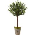 Nearly Natural 4.5 Olive Topiary Artificial Tree with Barrel Planter Green