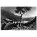 Virginia: Shenandoah. /Nview Of The Shenandoah Valley From Jefferson S Rock In Virginia. Line Engraving American 19Th Century. Poster Print by (18 x 24)