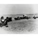 Covered wagons moving across the plains Poster Print (18 x 24)