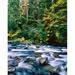 Scenic view of a river flowing through rocks North Santiam River Willamette National Forest Lane County Oregon USA Poster Print by Panoramic Images (28 x 22)