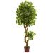 Nearly Natural 6 Jingo Artificial Tree UV Resistant (Indoor/Outdoor)
