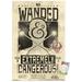 Fantastic Beasts And Where To Find Them - Wanded - Extremely Dangerous Wall Poster 14.725 x 22.375