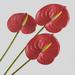 Vnanda 3Stems Artificial Anthurium Lily Flowers for Home Decor Bouquet and Green Leaf and Bridal Wedding Festival Decoration