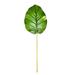 Vickerman 35 Artificial Green Pothos Leaf 6/pk