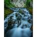 Creek flowing over moss covered rocks Grassi Lakes Creek Canmore Alberta Canada Poster Print by Panoramic Images (28 x 22)