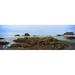 Rock formations on the beach Ruby Beach Olympic National Park Olympic Peninsula Washington State USA Poster Print (36 x 12)