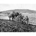 Rear view of a man plowing a field with his son Poster Print (24 x 36)