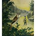 Rod & Gun in Canada 1916-22 Happy bird happy fisherman Poster Print by F.V. Williams (18 x 24)