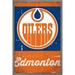 NHL Edmonton Oilers - Retro Logo 13 Wall Poster 22.375 x 34 Framed