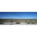 Panoramic Images PPI119707L Herd of springboks - Antidorcas marsupialis grazing in a landscape Etosha National Park Kunene Region Namibia Poster Print by Panoramic Images - 36 x 12
