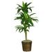 Nearly Natural 48in. Dracaena with Basket Silk Plant (Real Touch)