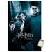 Harry Potter and the Prisoner of Azkaban - Forest One Sheet Wall Poster 14.725 x 22.375
