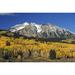 Aspen Trees In Autumn Rocky Mountains Colorado Usa Poster Print