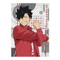 Riapawel Haikyuu Poster 12X16 Inch Cartoon Character Printed Paper Poster Home Decor Wall Art Poster Anime Fans Best Gift