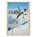 Penguin Wall Art with Frame Penguins Pole Wildlife Swimming Flying Dancing Family Group Icebergs Antarctica Printed Fabric Poster for Bathroom Living Room Dorms 23 x 35 Multicolor by Ambesonne