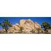 Low Angle View Of Trees And Rocks In A Park Joshua Tree National Monument California USA Poster Print (27 x 9)