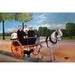 Father & Children Dog & Cart Poster Print by Henri Rousseau (18 x 24)