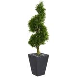 Nearly Natural 5ft. Boxwood Spiral Topiary Artificial Tree in Slate Planter UV Resistant (Indoor/Outdoor)