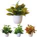 Limei Succulent Plants Artificial Faux Succulents Mini Artificial Plant Simulate Succulent Plants Lovely Decoration for House and Garden Office Bookshelf Party Include Flowerpot