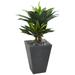 Nearly Natural 37â€� Double Agave Succulent Artificial Plant in Slate Planter