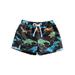 JYYYBF Kids Baby Boy Beach Shorts Toddler Dinosaur/Leaf/Tortoise Print Drawstring Shorts Bottom Holiday Beach Swimwear Black 1-2 Years