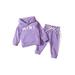 Sunisery Newborn Baby Girl Clothes Mini Hoodie Sweatshirt T-Shirt Pullover+Pants Fall Winter Outfits Purple 6-12 Months