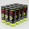 Penn Championship Extra Duty 12 Cans Tennis Balls