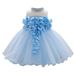 Fesfesfes Toddler Girls Dress Net Yarn Temperament Flowers Bowknot Birthday Party Gown Long Dresses