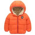 baozhu 1-6T Kids Baby Boys Girls Winter Coats Hooded Down Jacket Outerwear with Fleece Lining