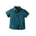 Cathery Toddler Baby Boys Hawaiian Shirts Button Down Short Sleeve Striped Plaid Print Holiday Formal Dress Shirt