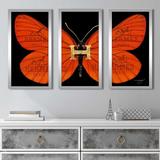 Gracie Oaks Hermes Butterfly by Jodi - 3 Piece Picture Frame Graphic Art Plastic/Acrylic in Black/Orange | 40.5 H x 25.5 W x 1 D in | Wayfair