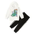 5T Kids Boy Clothes Little Boy Outfits Dinosaur Print Long Sleeve Hooded Tops Pants Set White 4-5T Little Boy Fall Clothes
