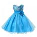 Little Girls Cinderella Lace Princess Dress Flower Girls Sequin Mesh Tulle Rainbow Party Dress Princess Lace Ball Gown