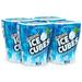 Ice Breakers Ice Cubes Gum Peppermint Sugar Free with Xylitol 40 Pieces (Pack of 4)