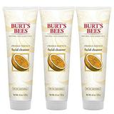 Burt s Bees Orange Essence Facial Cleanser Sulfate-Free Face Wash 4.3 Ounces (Pack of 3)