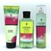 Bath and Body Works Watermelon Lemonade Body Cream Fine Fragrance Mist and Shower Gel 3-Piece Bundle