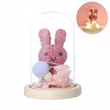 Gift for her Women s Gift Birthday Gifts Pink Rabbit Night Light Gift Led Light String Last Forever in Glass Dome Unique Gift for Her Graduate Graduation Gift Christmas Cute Thing for Teens