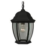 Craftmade Bent Glass Z281 Outdoor Pendant Light