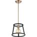 Nuvo Fixture Pendant Incandescent 60W 120 60/6641