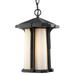 1 Light Outdoor Chain Mount Lantern In Seaside Style 9 Inches Wide By 15 Inches High Z-Lite 542Chb-Bk