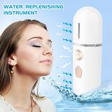 Ykohkofe Portable Hand-held Beauty Instrument Hot And Cold Steaming Face Humidifier